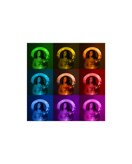 Timelines EP (CD)