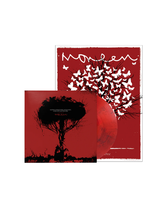 Saying Something Starter Bundle